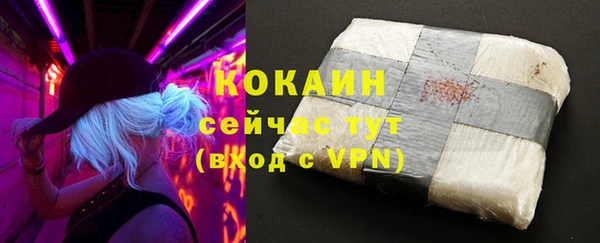 гидра Новозыбков