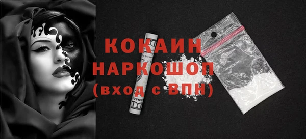 гидра Новозыбков