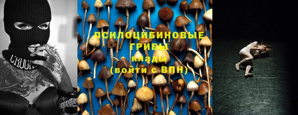 гидра Новозыбков
