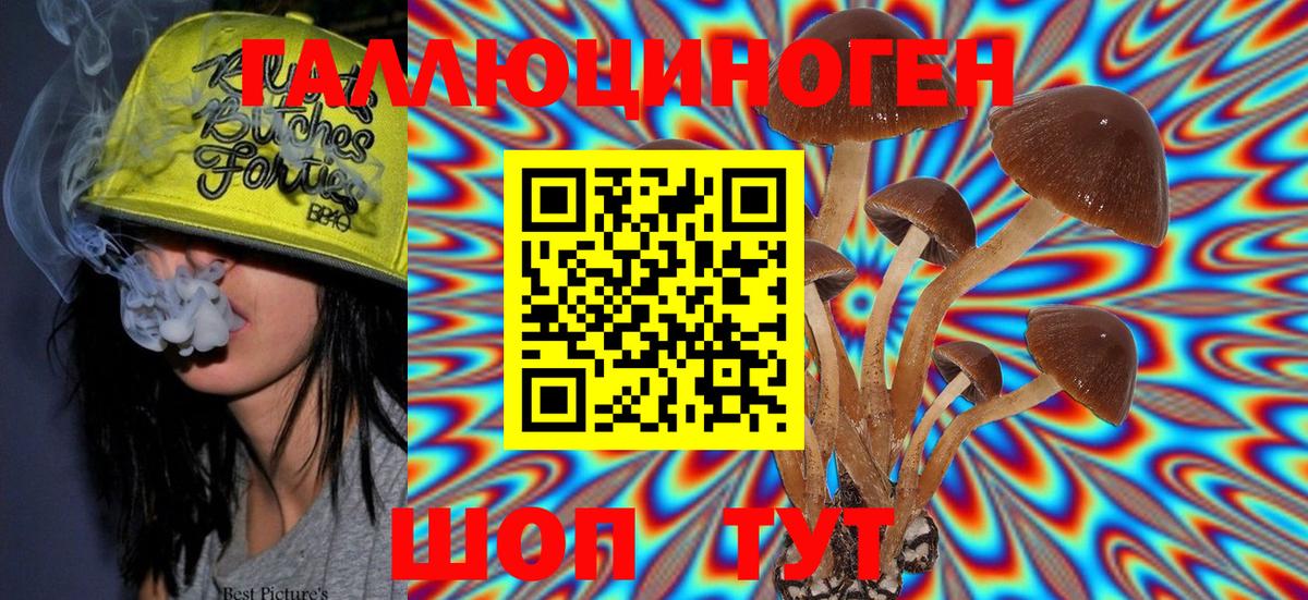 Псилоцибиновые грибы GOLDEN TEACHER Кингисепп