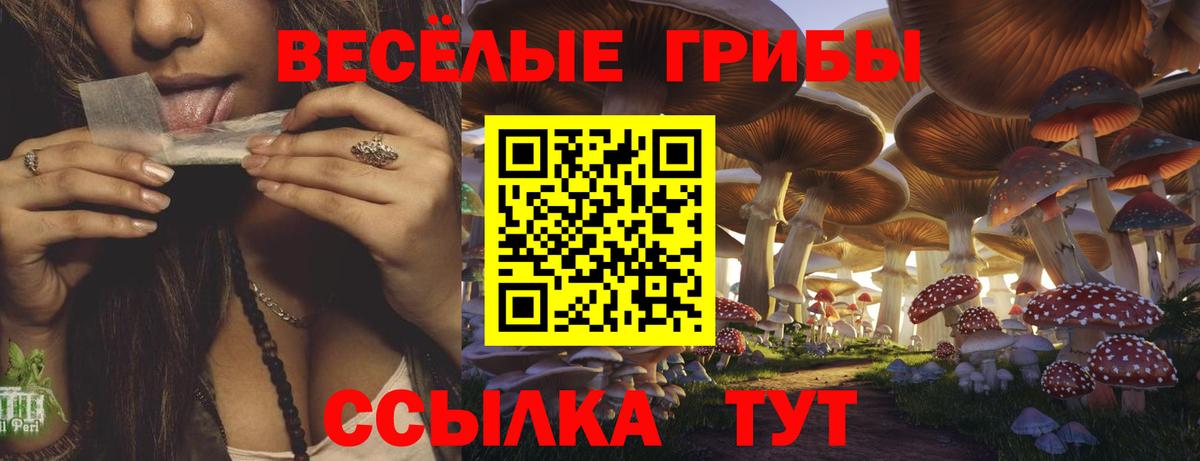Кингисепп  Псилоцибиновые грибы GOLDEN TEACHER  Вход с VPN 